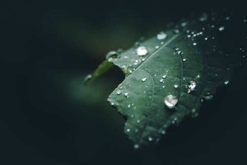 Can Chac Moi Nguyen Si Kha • Rainy Day Memories • 2023